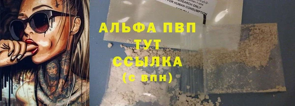PSILOCYBIN Осинники