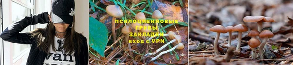 стафф Пересвет