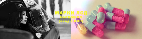 PSILOCYBIN Осинники