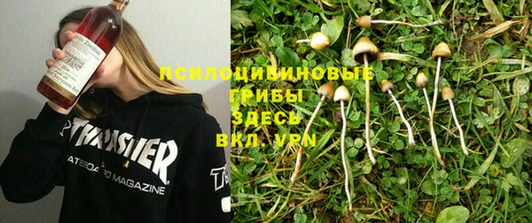 стафф Пересвет