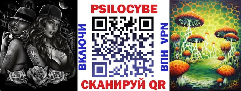 как найти наркотики  Ртищево  Псилоцибиновые грибы GOLDEN TEACHER 