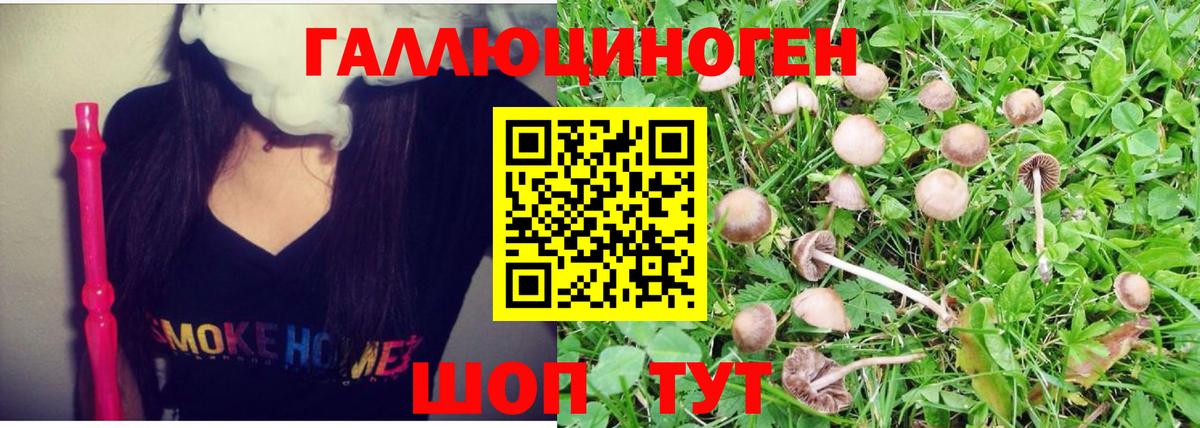 Галлюциногенные грибы мухоморы  Ртищево 