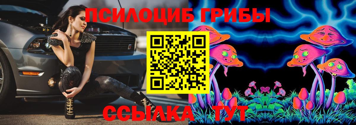 Ртищево  закладка  Вход с VPN  Галлюциногенные грибы GOLDEN TEACHER 