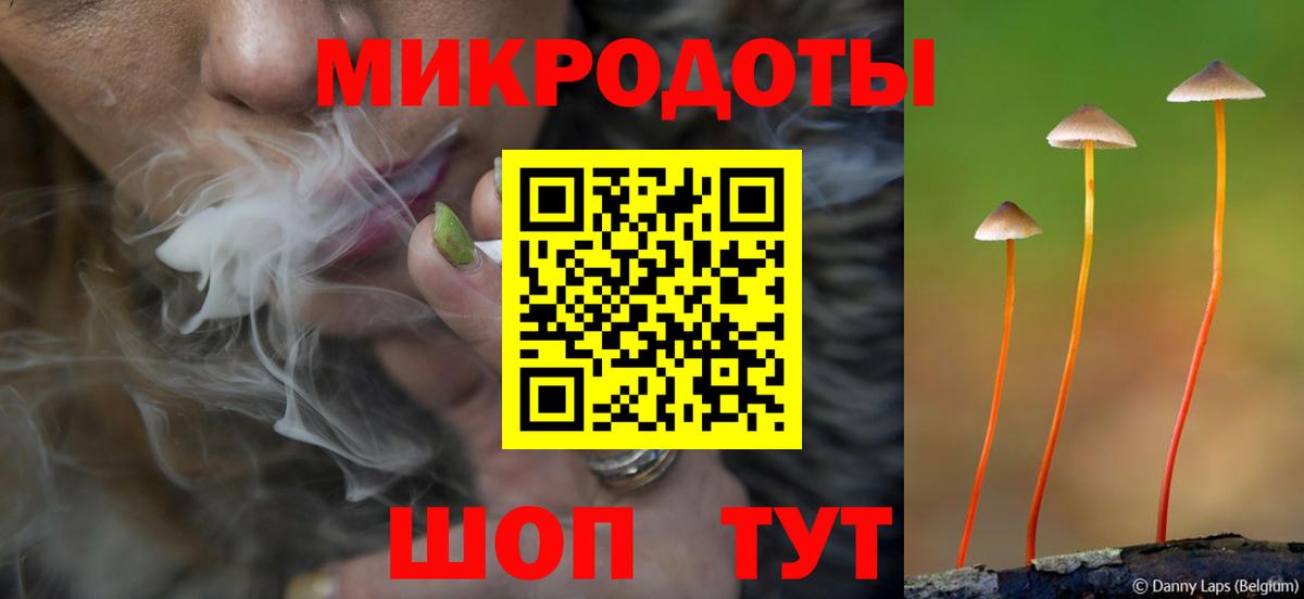Псилоцибиновые грибы прущие грибы Ртищево