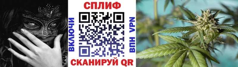 Бошки марихуана ГИДРОПОН  Ртищево 